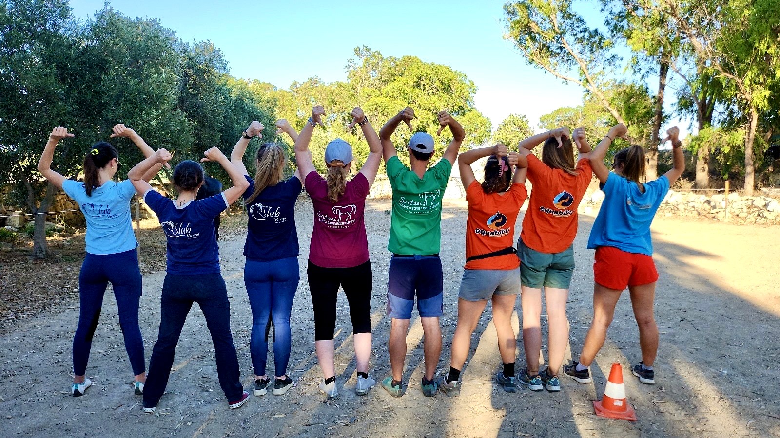 Participants in an Equability training course standing outdoors in a line, seen from behind with their arms raised.